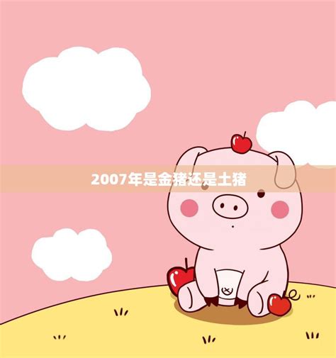 2007年是什么猪|2007年出生属什么生肖 2007年属猪是什么命